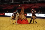 Quadrille - 00373